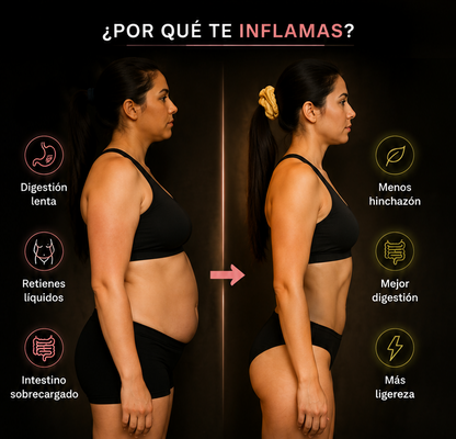Mebs Reset Detox | Cápsulas para Desinflamar y Sentirte Más Ligera